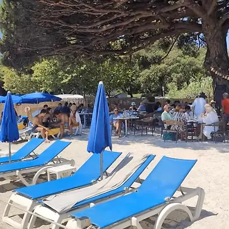 Artemis - Pool With Sea View Golf De Saint-tropez Villa *